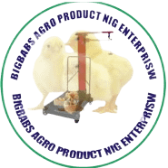 bigbabs-logo-removebg-preview